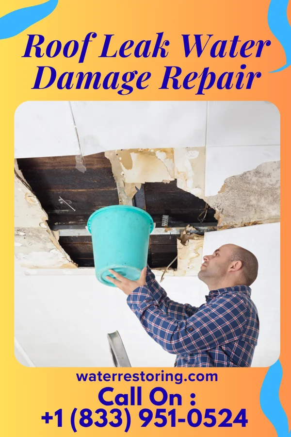 Roof Leak Water Damage Repair in Oak Park, GA